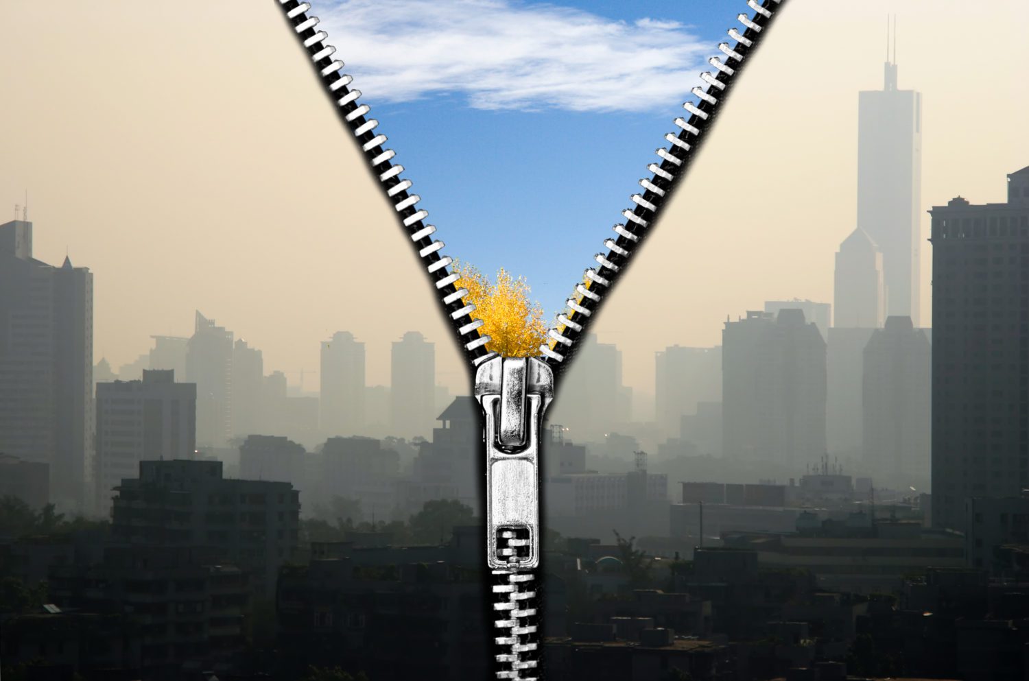 Featured image for “5 Things You Can Do to Improve Your Air Quality”
