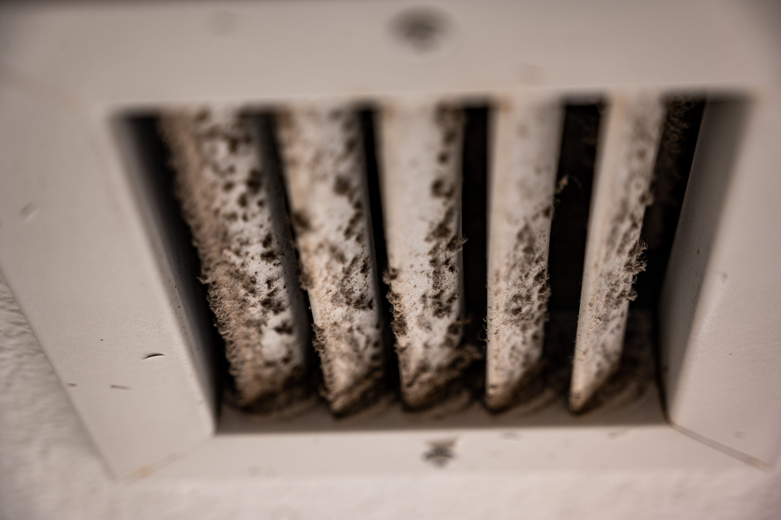 Featured image for “Is Mold In Your HVAC Dangerous?”